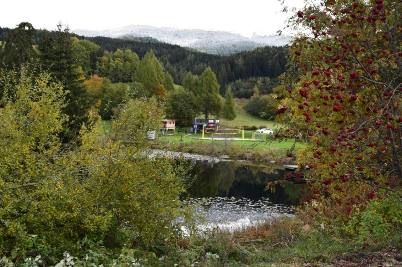 Ferienwohnung Familie Pichler Neumarkt in Steiermark 외부 사진