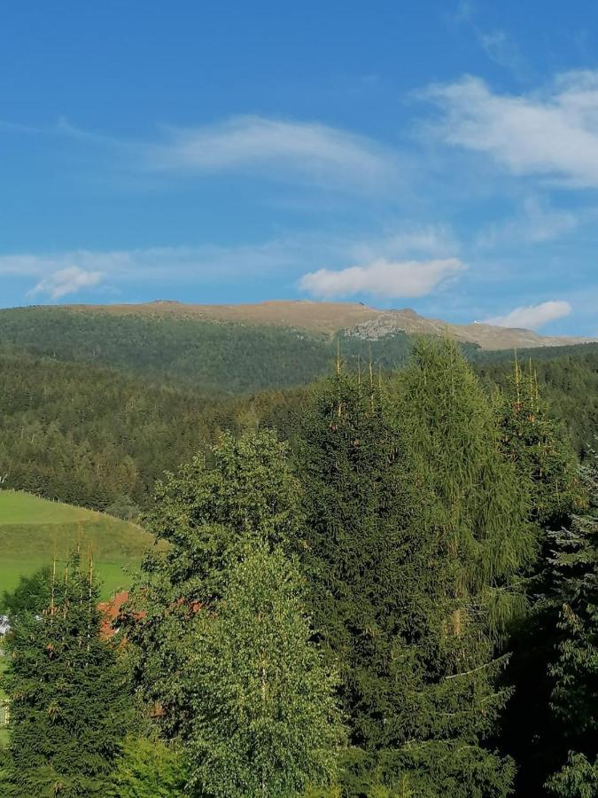 Ferienwohnung Familie Pichler Neumarkt in Steiermark 외부 사진