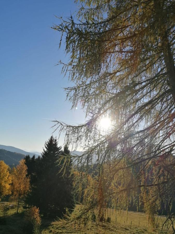 Ferienwohnung Familie Pichler Neumarkt in Steiermark 외부 사진